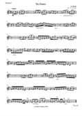 Classical Masterpieces for String Quartet, Album V